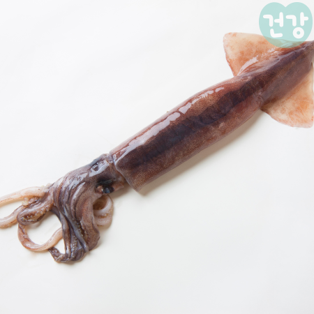 011오징어 효능 데치기 활용 건강식단 요리방법 부작용