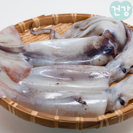 012오징어 효능 데치기 활용 건강식단 요리방법 부작용