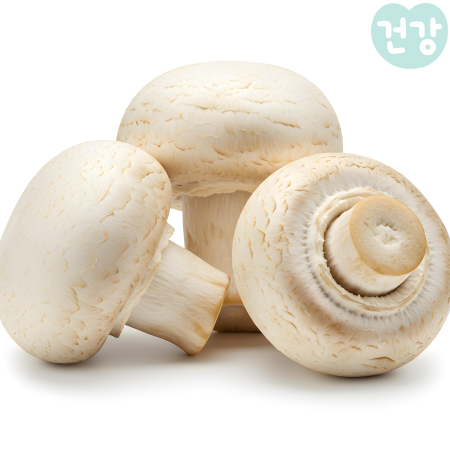 013양송이버섯 효능 손질법 영양성분 분석 부작용