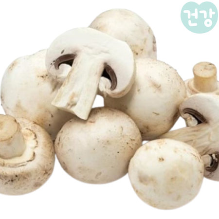 014양송이버섯 효능 손질법 영양성분 분석 부작용