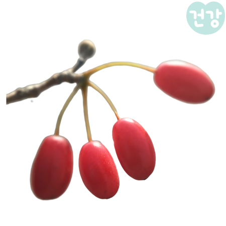 017산수유 효능 먹는법 부작용