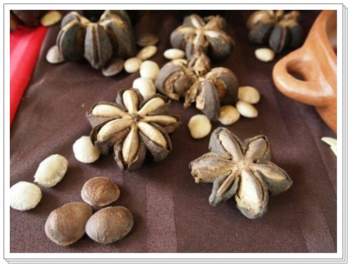 사차인치 효능003