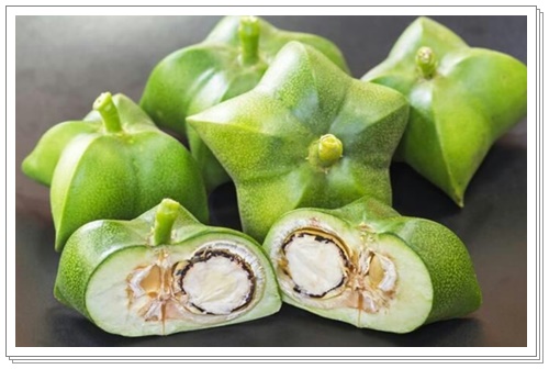 사차인치 효능007