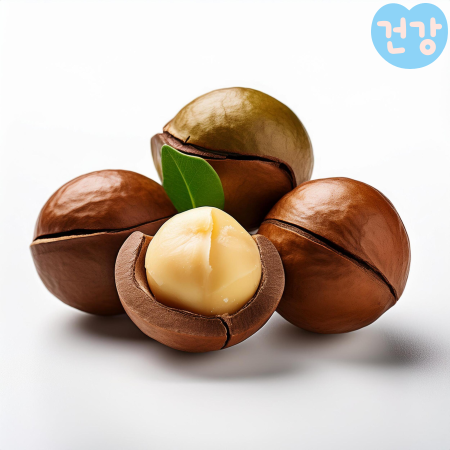 005마카다미아 효능 칼로리 다른 견과류 영양비교 부작용