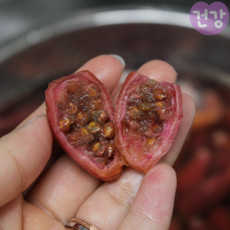 006천년초 효능 열매먹는법 면역력 항산화 효과 부작용