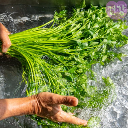 020미나리 효능 먹는법 간해독 효능 부작용