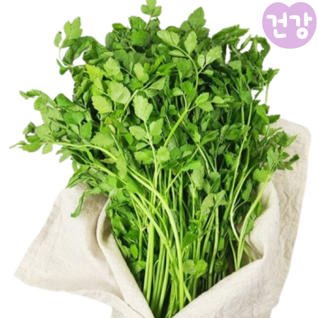 021미나리 효능 먹는법 간해독 효능 부작용