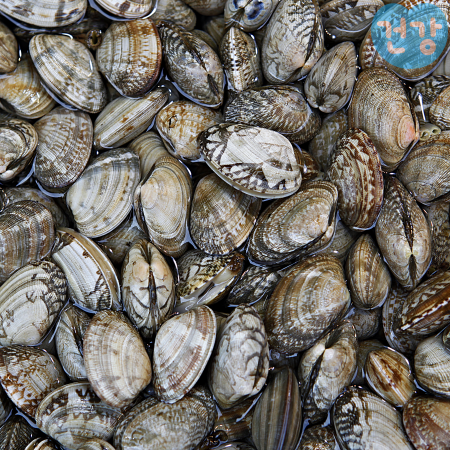 037바지락 효능 제철 해감방법 부작용