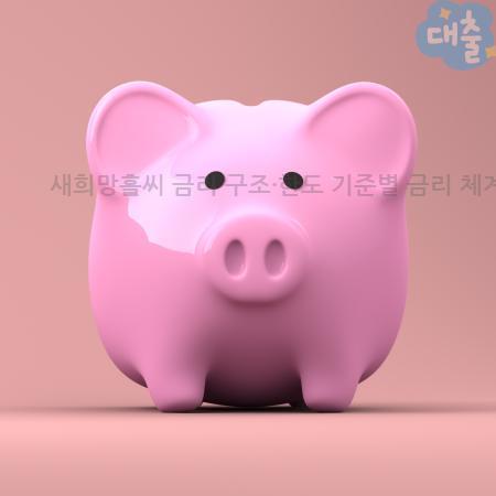 1.새희망홀씨 금리 구조·한도 기준별 금리 체계 정리