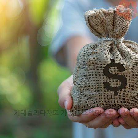 2.기대출과다자도 가능한 소액대출로 비상금 300만원