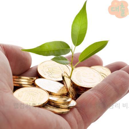 4.웰컴저축은행 전세담보대출로 한도·금리 비교